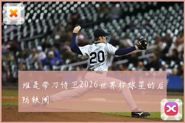 谁是带刀侍卫2026世界杯球星的后防铁闸